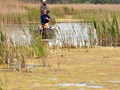 pro fishing league - 101513833054115429487447583073613593774404n.jpg