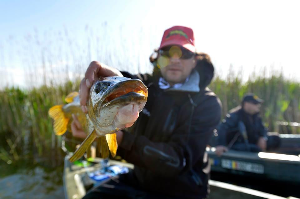 pro fishing league - 101519183050416796523971255318433103859336n.jpg