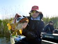 pro fishing league - 101519183050416796523971255318433103859336n.jpg