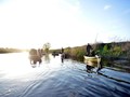 pro fishing league - 19076053054025929496396551313904434511063n.jpg