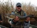 pro fishing league - 5766442481655786733412102442056n.jpg