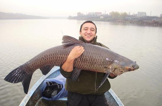 Sabin Buzatu - Sabin Buzatu