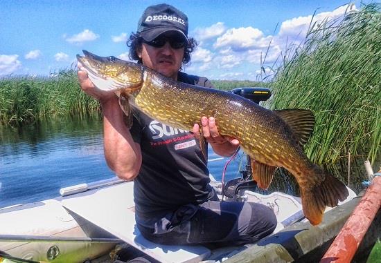 Sabin Buzatu - Sabin Buzatu