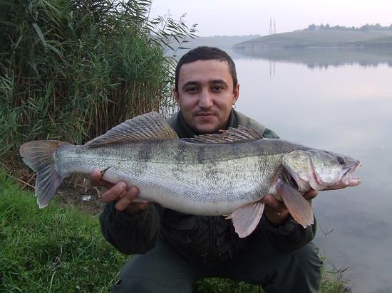 Sabin Buzatu - Sabin Buzatu