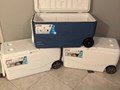  - 100qt pe alb sau albastru - 720 lei 