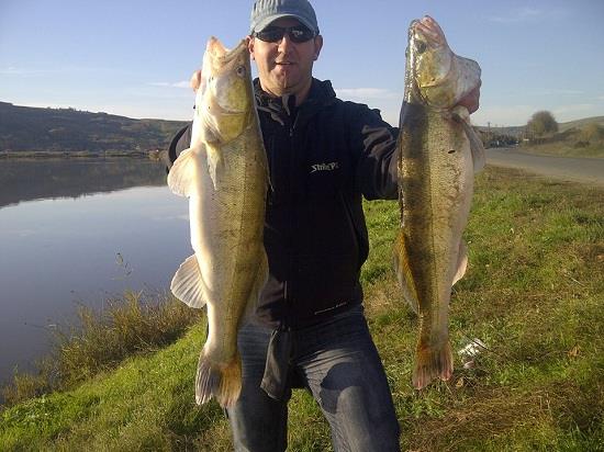 Ovidiu Bradatan - Ovidiu Bradatan