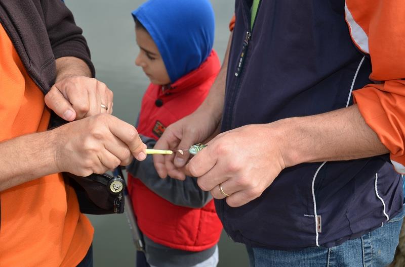 Cupa Copiilor lacul Carol - 1 iunie 2014 - cupa-copiilor-parcul-carol-dsc1514.JPG