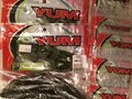 naluci romania - yum.JPG