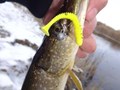  - Jig Articulat ... 