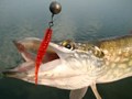  - Jig Articulat ... 