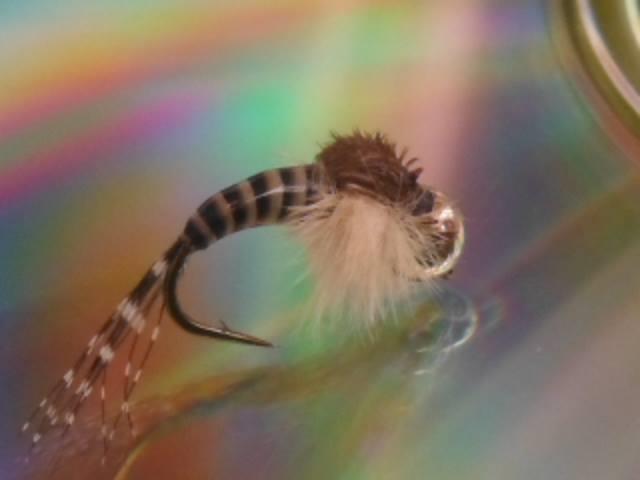  - 1558488201771826678122476351158n1.jpg