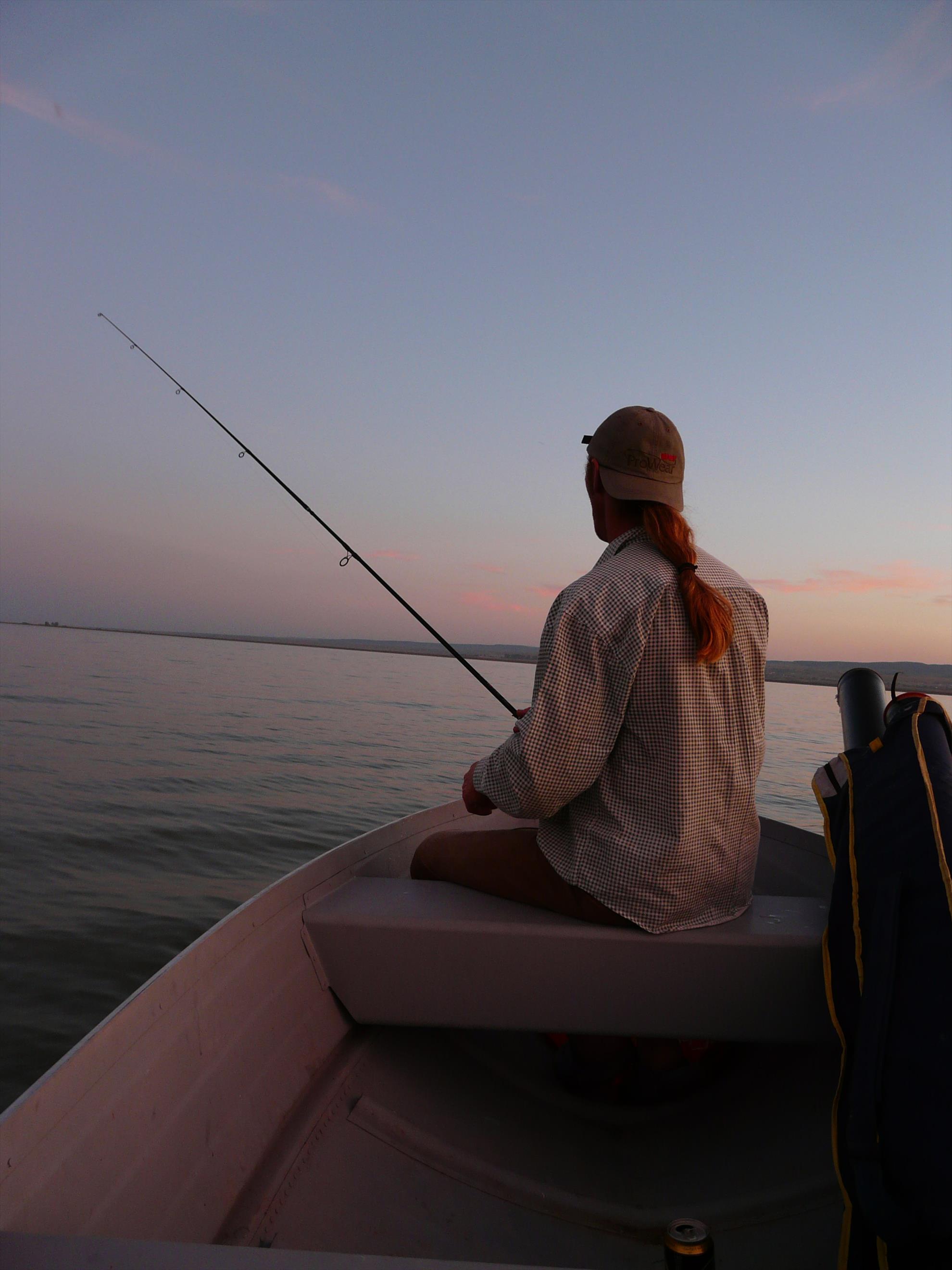 Motocraft SF 430 T - Apus