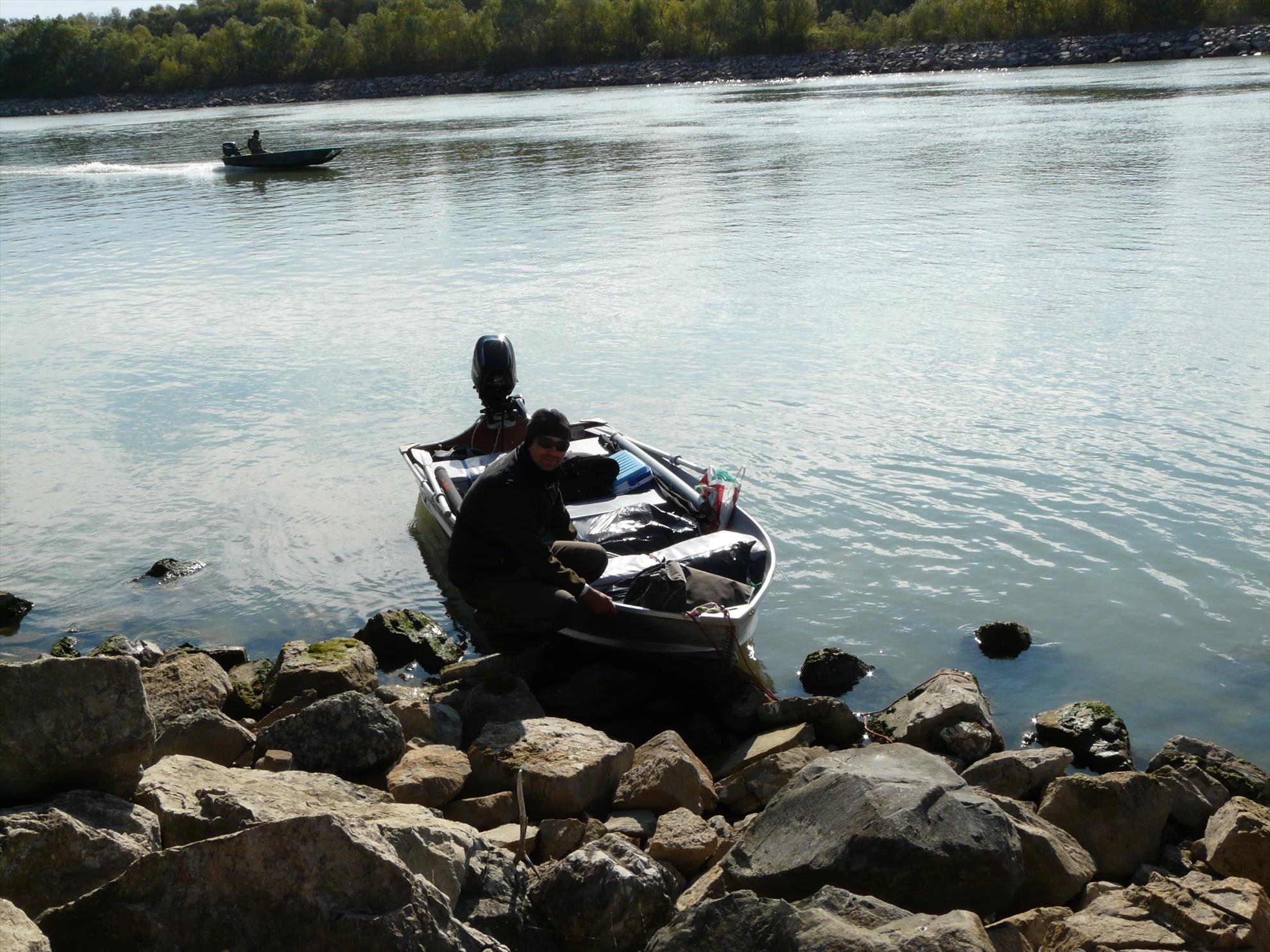 Motocraft SF 430 T - tase lures