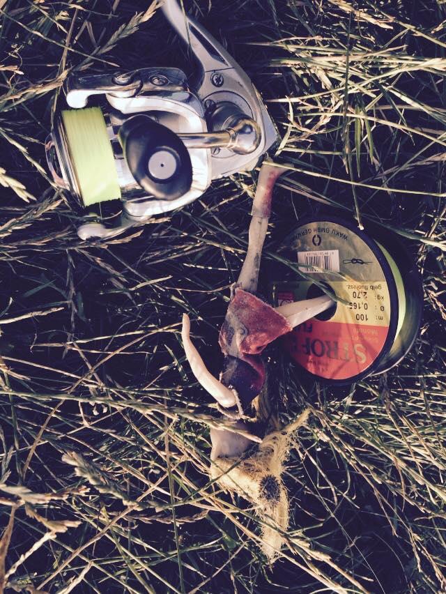 Bibanmania 2015 - 117873101166167093410354507772447n.jpg