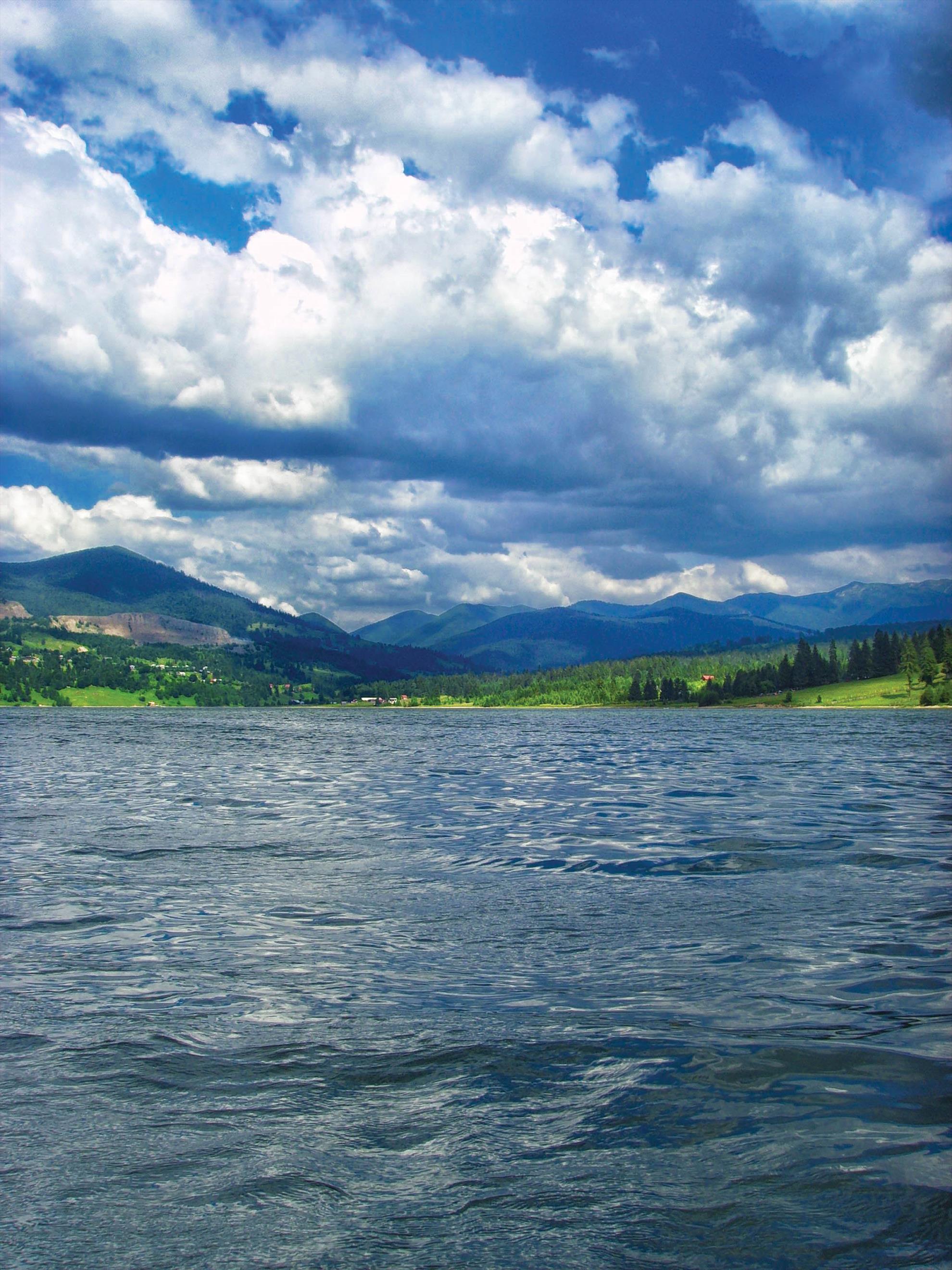 colibita - colibssl26850.jpg