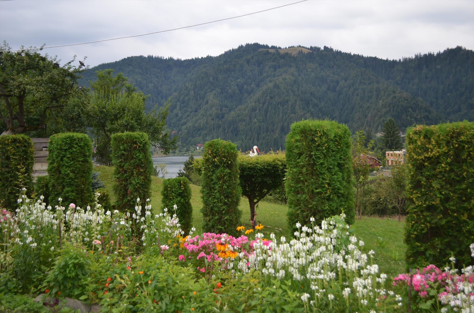 colibita - dsc4457.JPG