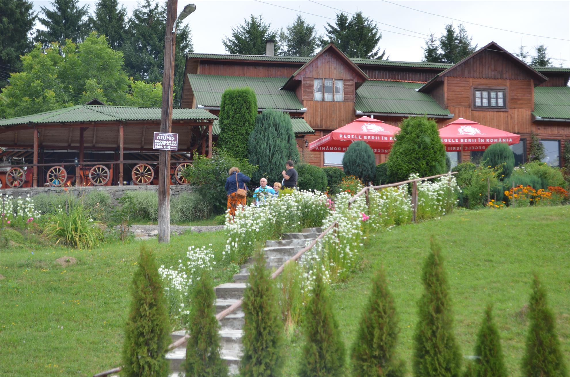 colibita - dsc4471.JPG