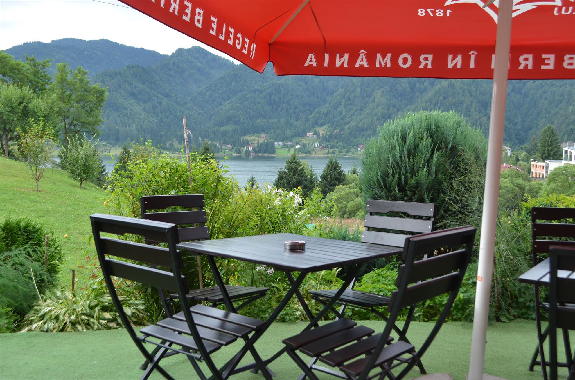 colibita - dsc4494.JPG