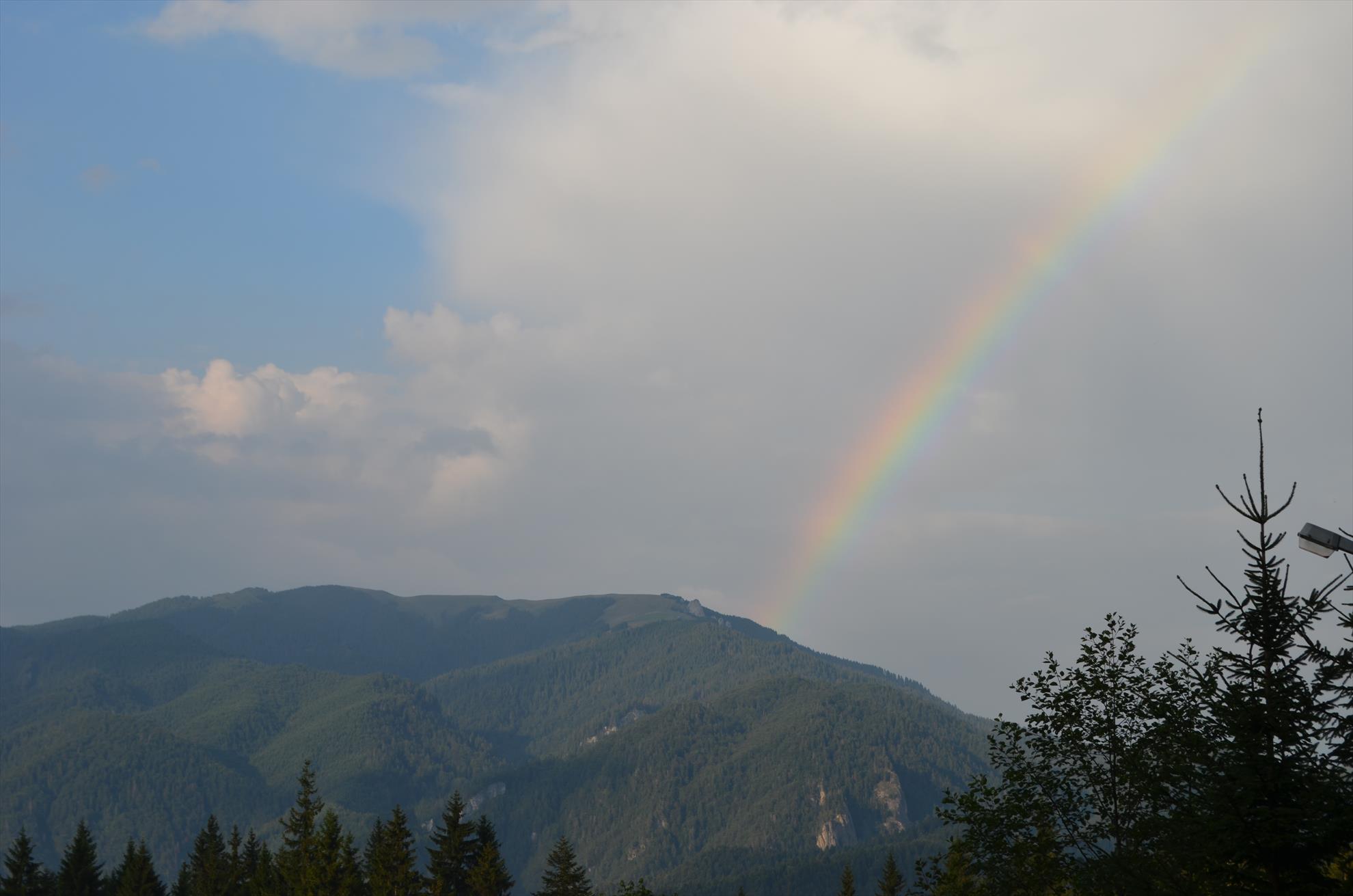 colibita - dsc4813.JPG