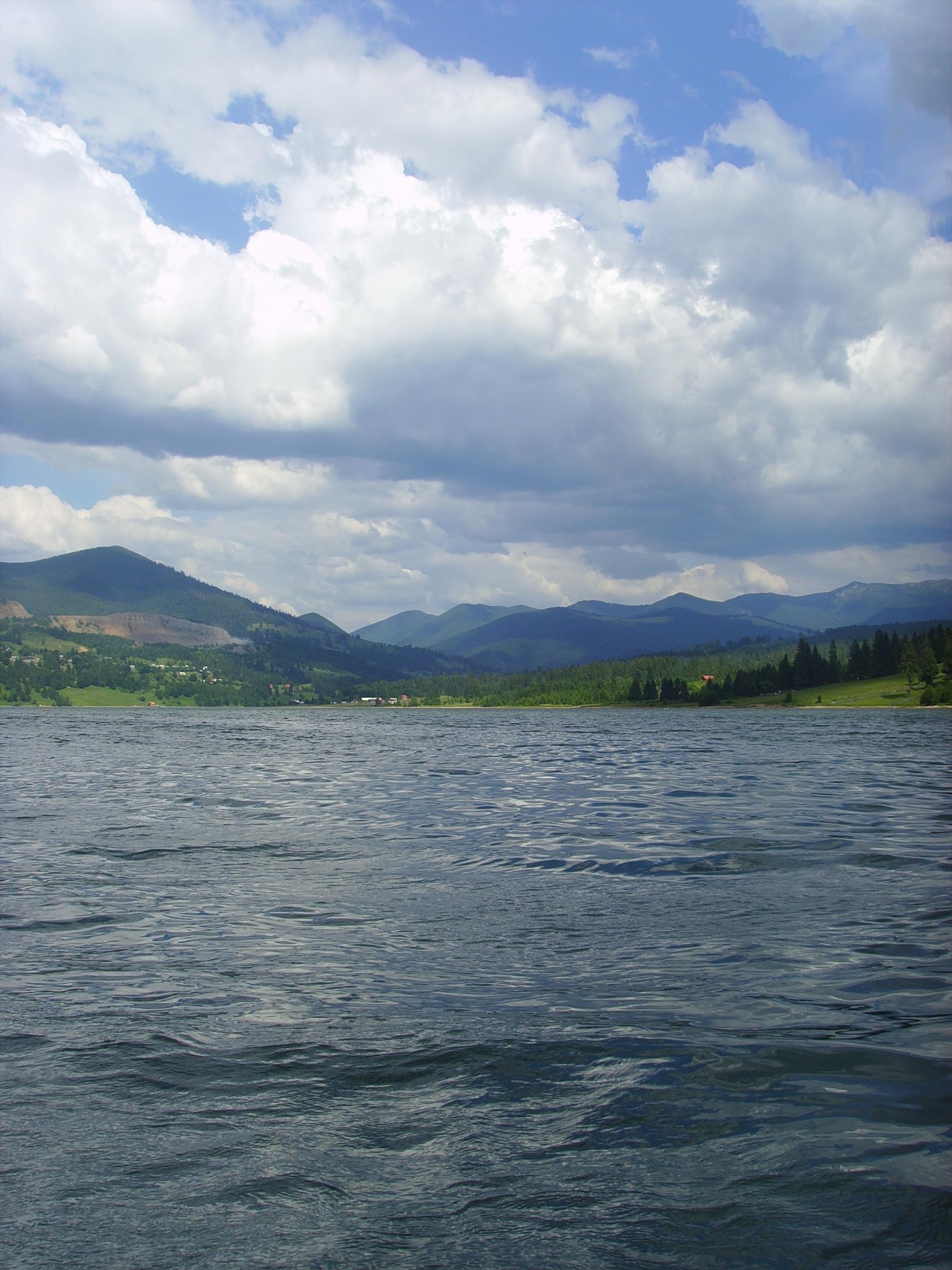 colibita - ssl26850.JPG