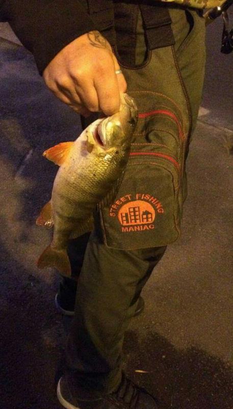 echipamente joy - 1699061712786145088842511515521931o.jpg