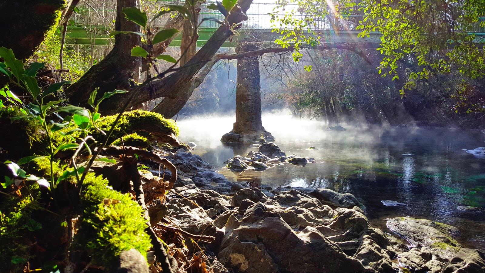 de ce pescuiesc - 2017-02-26-09-52-34.jpg