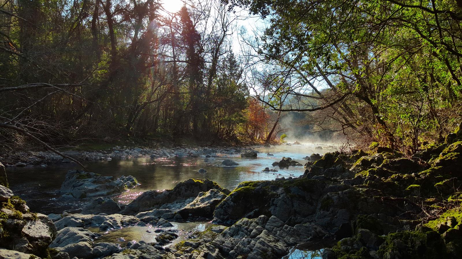 de ce pescuiesc - 2017-02-26-18-42-20.jpg