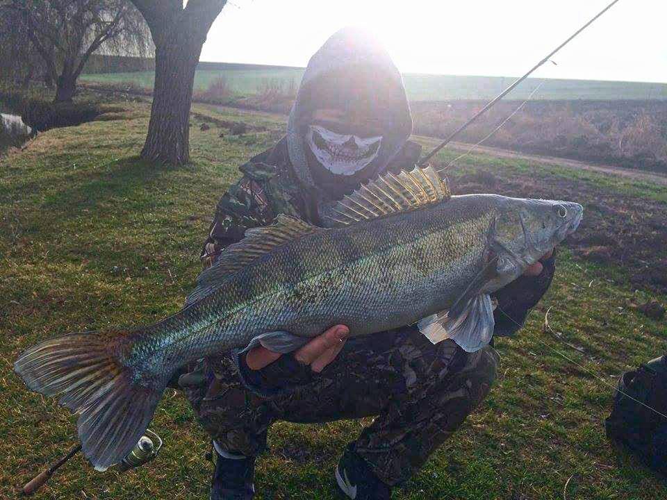 de ce pescuiesc - 2017-03-20-10-56-11.jpg