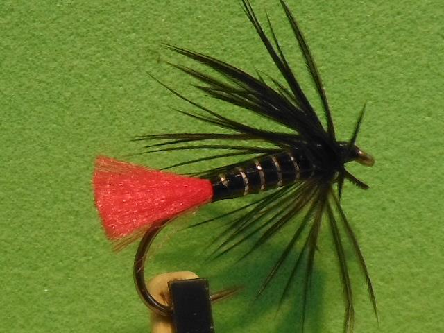  - 2016-04-18-105658-1.jpg