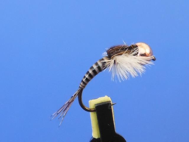  - 2016-05-02-200519-1.jpg