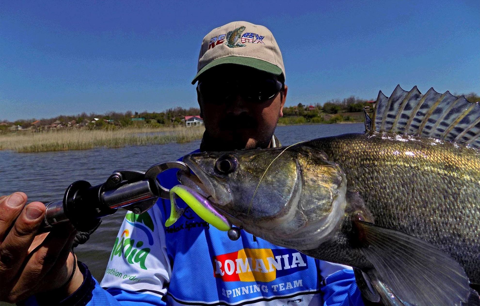 4Predators - 1218383612052831661550687457802848232967187o.jpg