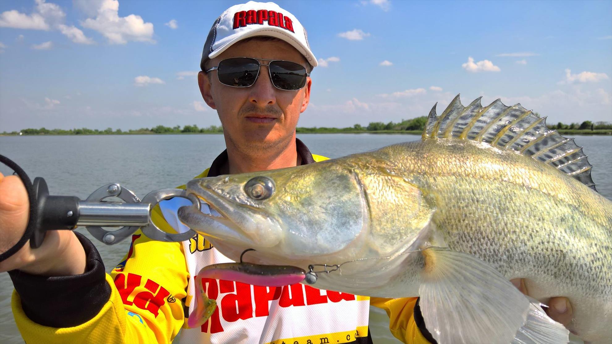 4Predators - 1341169013581901241977046745653653153759869o.jpg