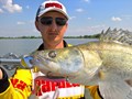 4Predators - 1341169013581901241977046745653653153759869o.jpg