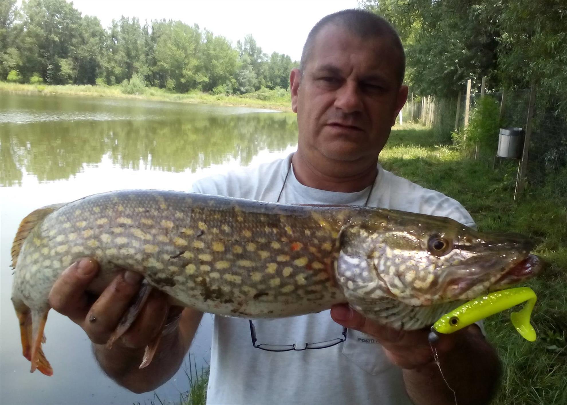 4Predators - 1392359114009658999201261959573186613556256o.jpg