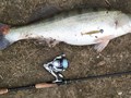 4Predators - 1671620416233883643445446492398256934203792o.jpg