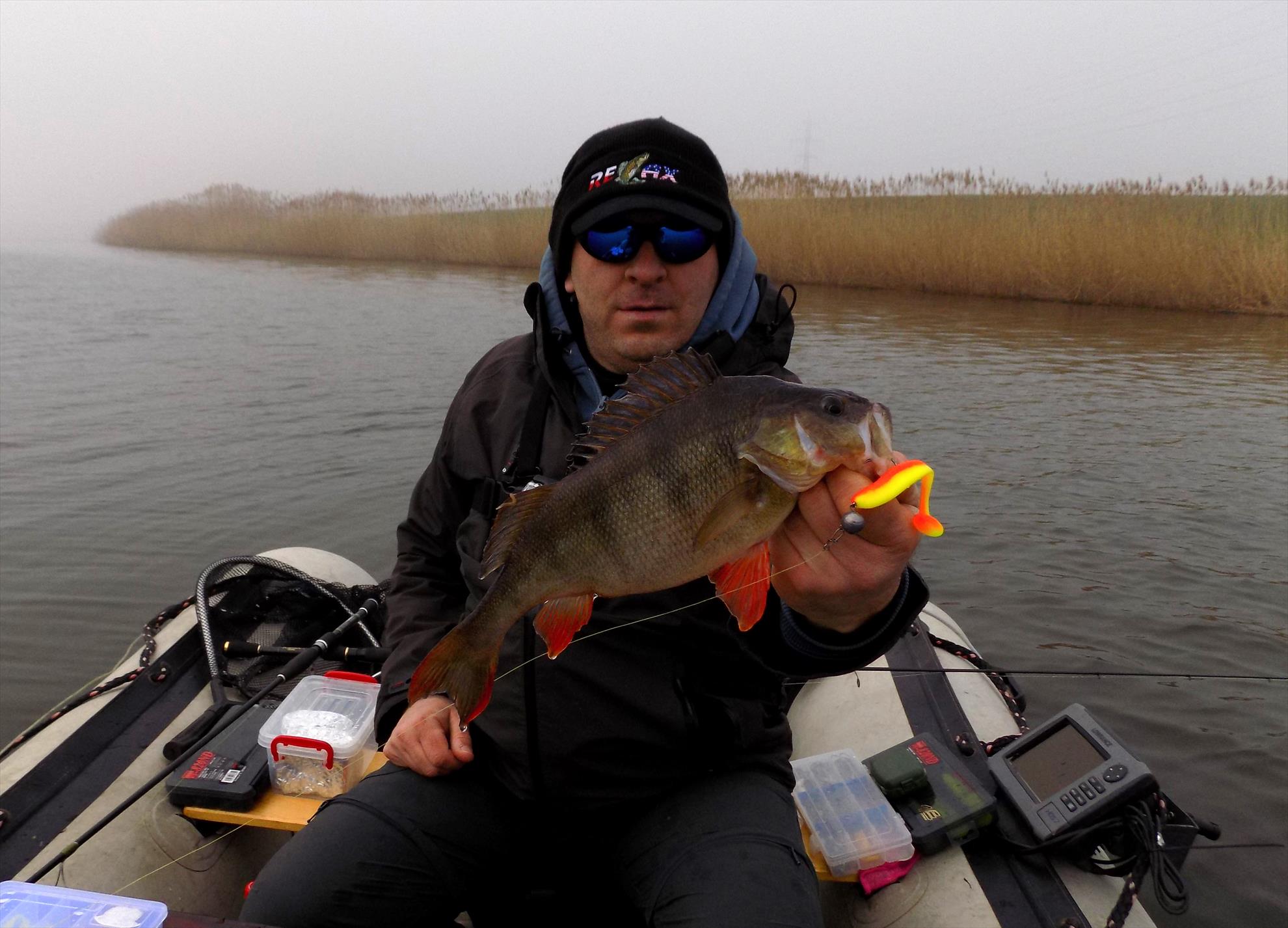 4Predators - dscn2118.jpg