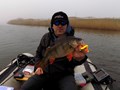 4Predators - dscn2118.jpg