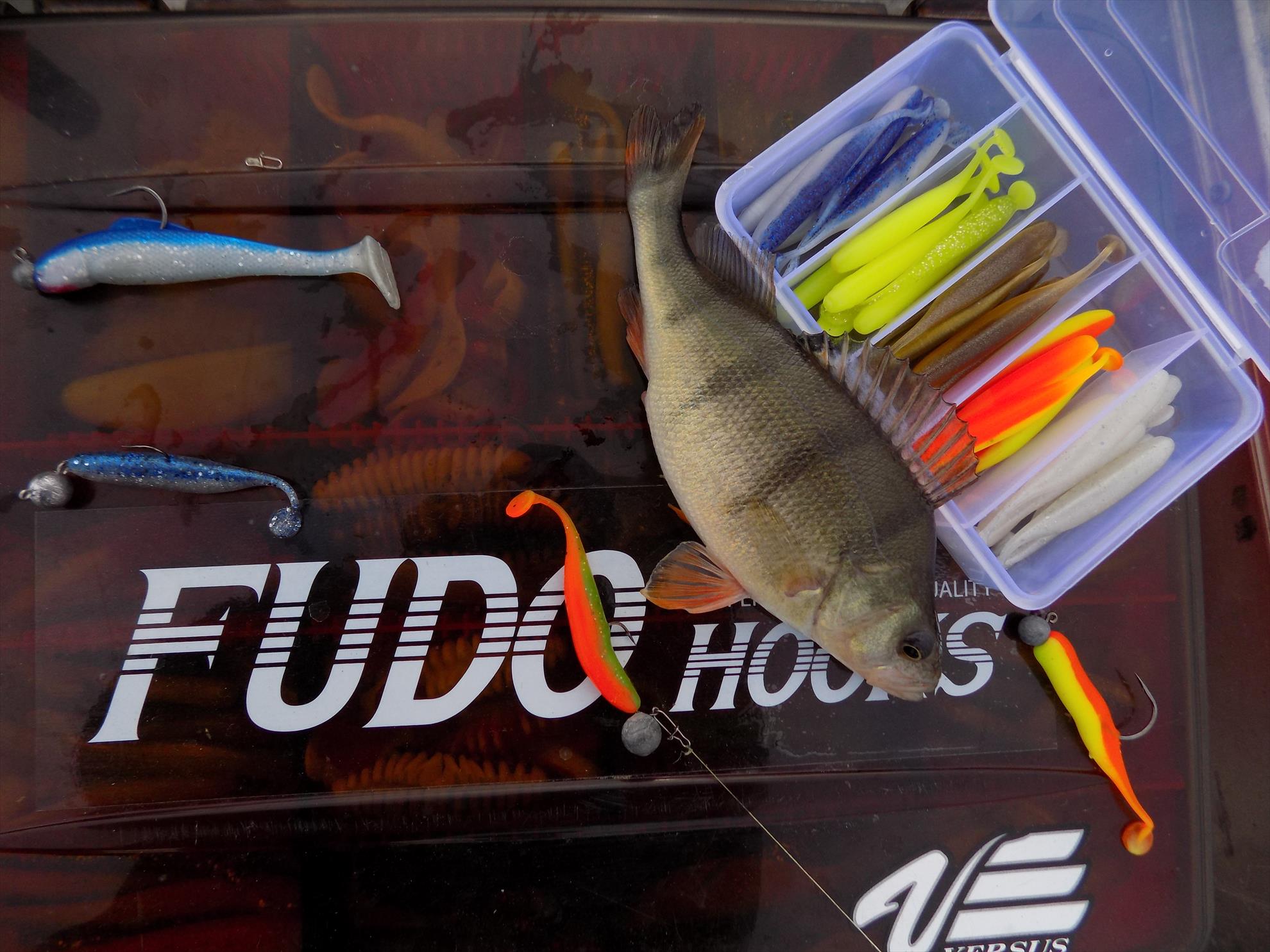 4Predators - dscn2360.JPG