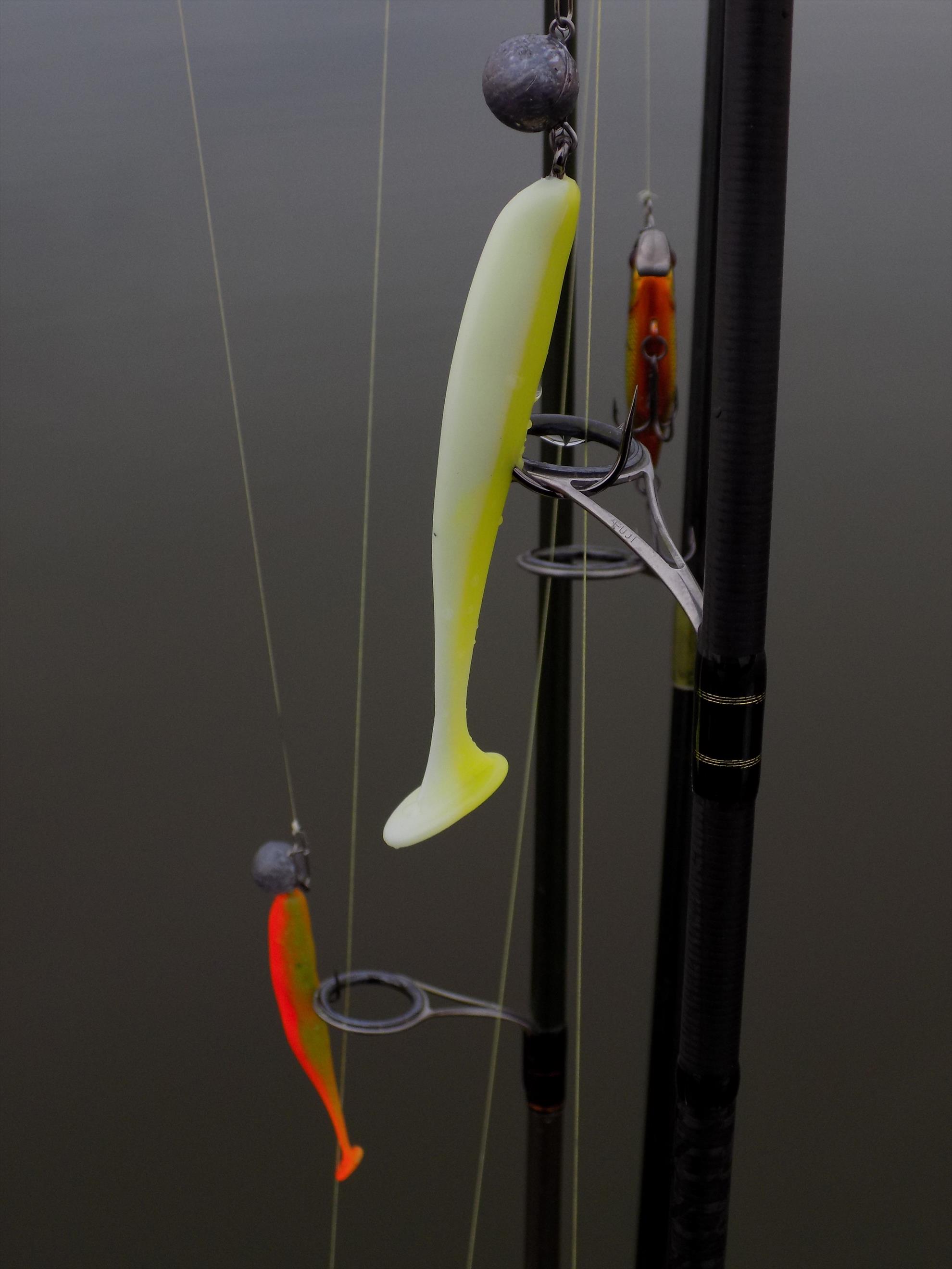 4Predators - dscn2372.JPG