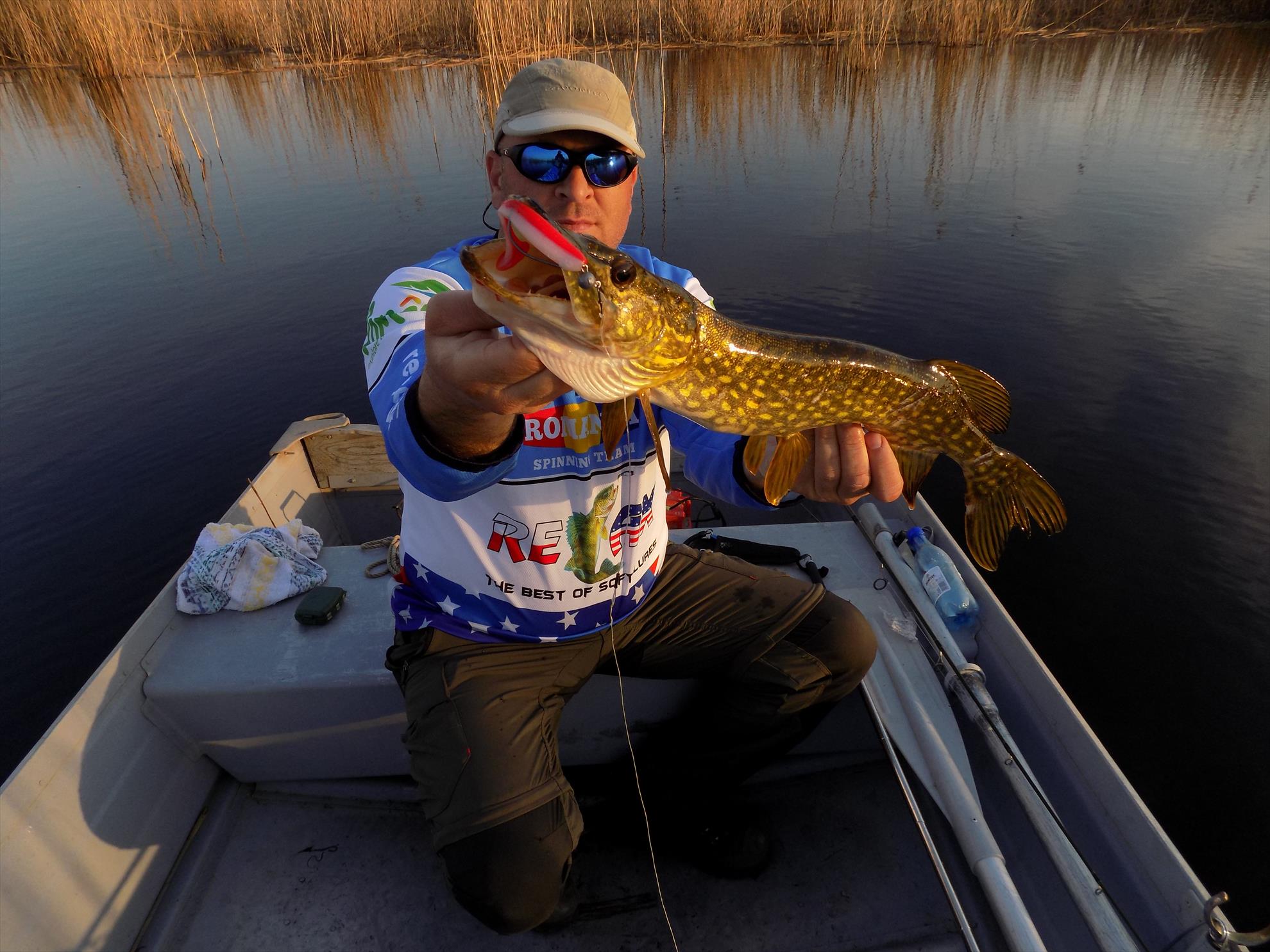 4Predators - dscn4168.JPG