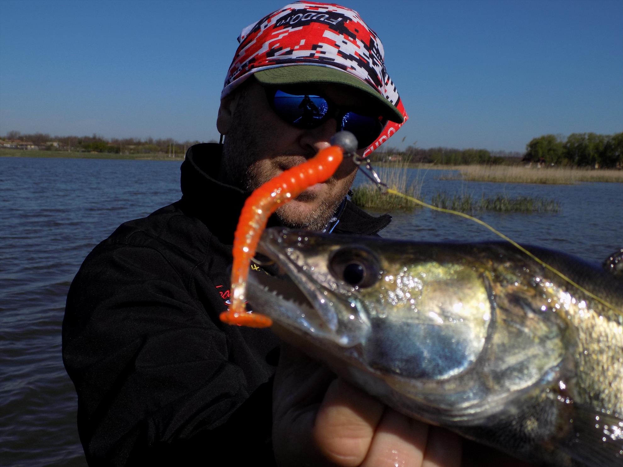 4Predators - dscn4535.JPG