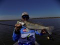4Predators - dscn4558.JPG