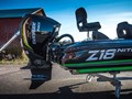 - z18-pupa.jpg