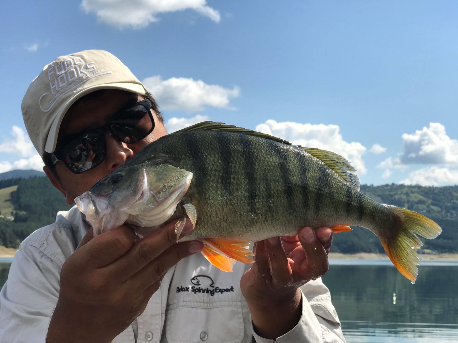 Bibani record Bicaz - Izvorul Muntelui - 3618895021081047825560126227292542967218176n.jpg