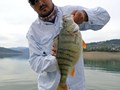 Bibani record Bicaz - Izvorul Muntelui - 3618911221081489625515943269735581420093440n.jpg