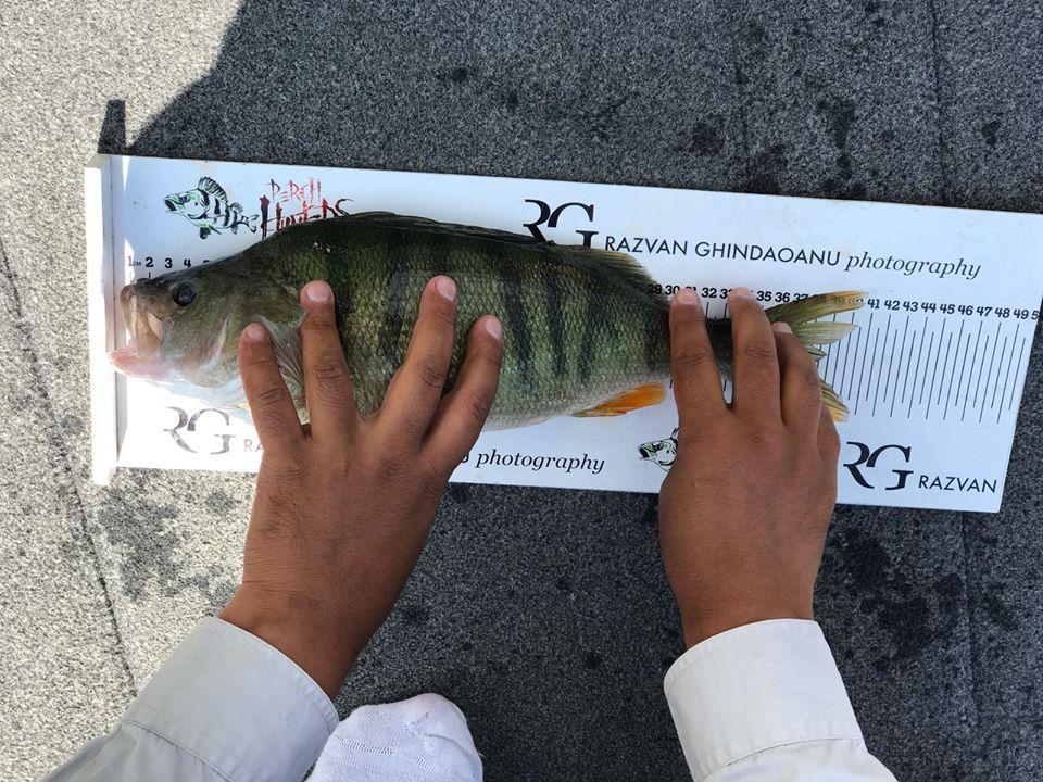 Bibani record Bicaz - Izvorul Muntelui - 3623126321081048358893405665401075646070784n.jpg