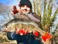 Alexandru Stoica - Pescar in UK - 2611443420083390558580282931836497893201777o.jpg
