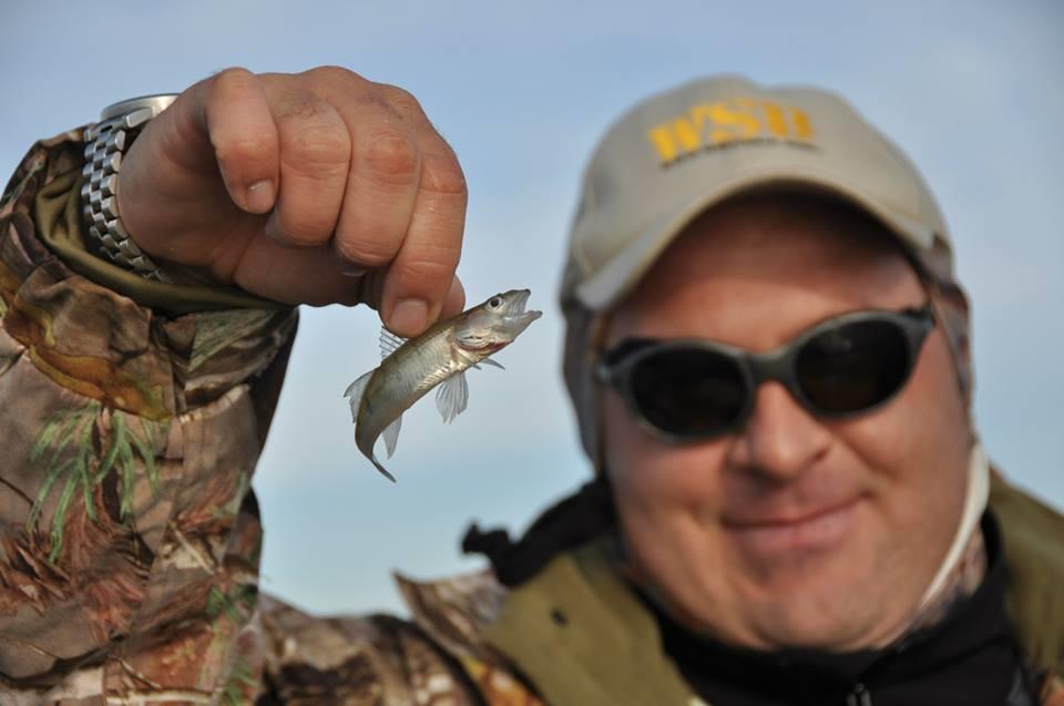 Radu Boanta - Radu Boanta