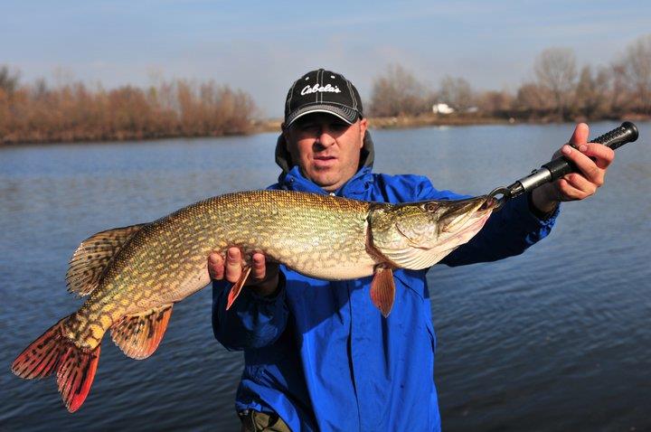 Radu Boanta - Radu Boanta