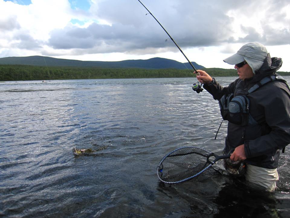 Radu Boanta - Radu Boanta